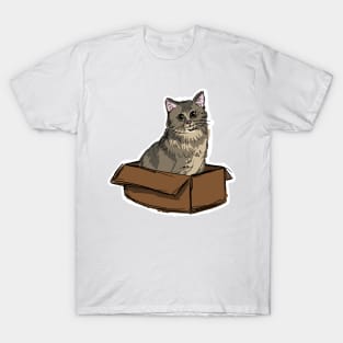 kitty in a box T-Shirt